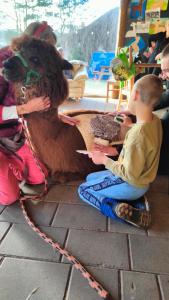 Domek na Słonecznikowej