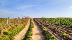 Agroturystyka Zagroda Alpaka