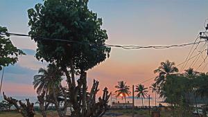 Nelis Guest House