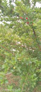 Heritage City Hotel Anuradhapura