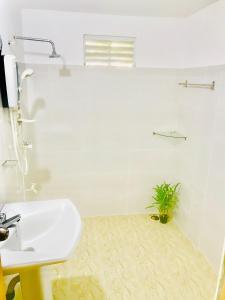 Nature lovers Safari Cottage