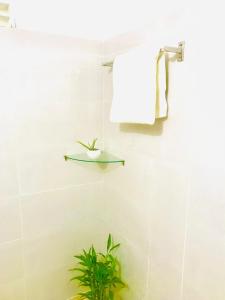 Nature lovers Safari Cottage