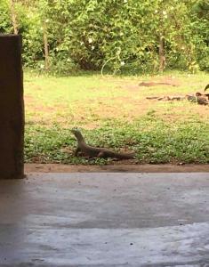 The Happy House Nature Retreat