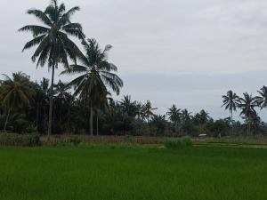 Villa Ilham Ketembong