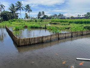 Villa Ilham Ketembong