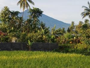 Villa Ilham Ketembong