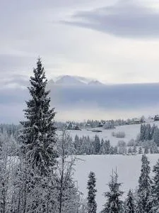 Wierchowa Polana Apartments - 布泽吉