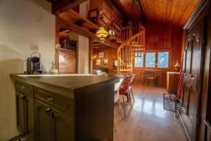 Le Genin - studio spacieux dans le centre de Gryon - Gryon