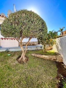 Villa Naranja - Luxury Holiday