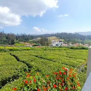 The Voyagers by Blissdale - Pykāra