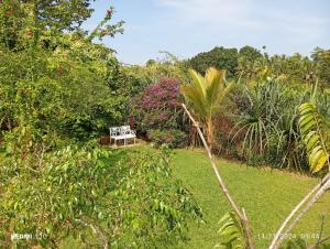 Rukgaha Thotupola Nature Villa at Bolgoda