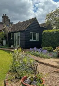 Field View - Nuthurst