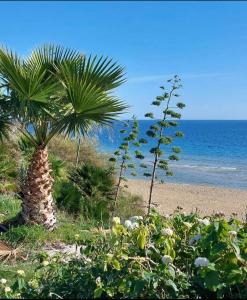Villa sul mare DON TOTO