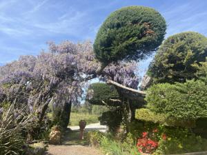 B&B / Chambres d'hotes LA MAISON DE JUSTINE : photos des chambres