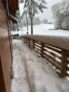 Apartment on the ski slope Pohorje 11 