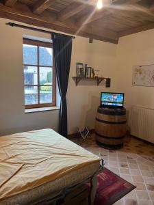 Maisons de vacances Le Cercotin : photos des chambres