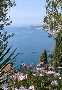 Facing Monaco, Cosy flat with parc & swimming