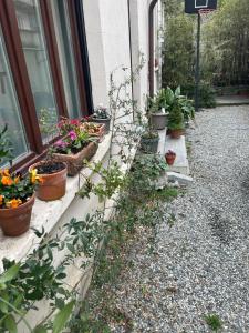 Loft Crimea con patio