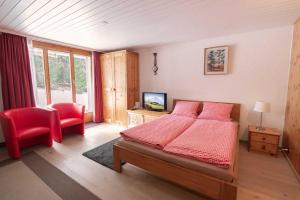 MOM - Alpine Boutique Apartments, Grindelwald gletscher, Eiger View Terrace Studio