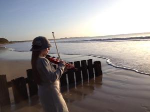 #1 Dog friendly house OPPOSITE the BEACH