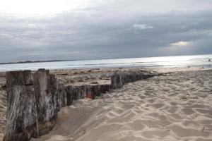 #1 Dog friendly house OPPOSITE the BEACH