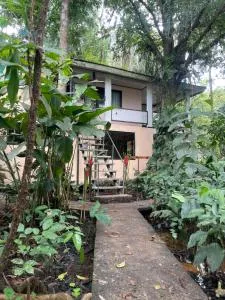Casa Jaguar Tortuguero - Jaloba