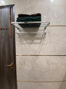 Luxury Flat with Balcony in New Delhi