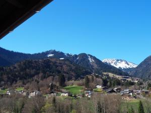 Appartements Le Grenier : photos des chambres