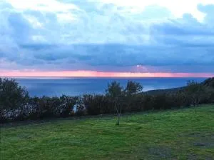 Midnight blue suite - Rogón