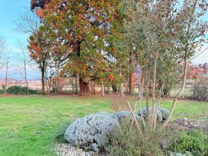 Villas Villa HARMONIE : photos des chambres