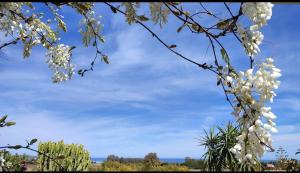 Villetta vista mare a pochi passi dalla spiaggia