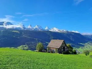 Haldenhof Schwizer - Alt Sankt Johann