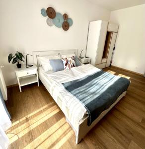 Falcon Apartman Tatabánya