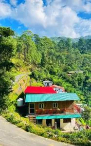 El Pino De Ringlana - Pauri