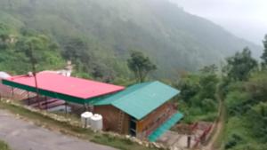 El Pino De Ringlana