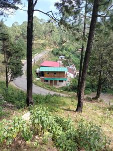 El Pino De Ringlana