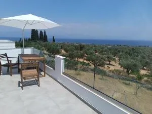 Blue & Green - Longá