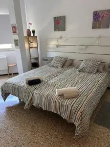 Sarah Kite II Vv, Room 2 - 伊兹奎尔多