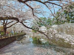 サマサマドゥア saMa-saMa Dua