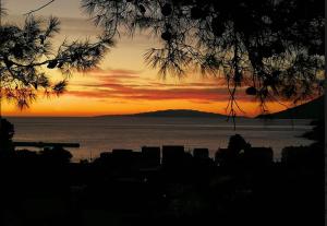 Olive-Sunset Haven in Zuljana