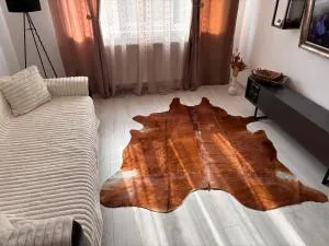 City Comfort Apartment - 巴克乌