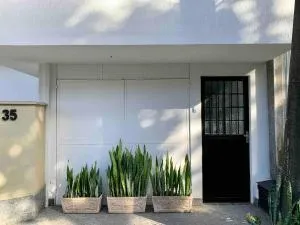 Ap da Serra em Barão de Javary - 米格尔-佩雷拉