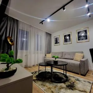 Apartament Piast Myślibórz - 梅希利布日