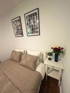 NORTH STAR Apartaments