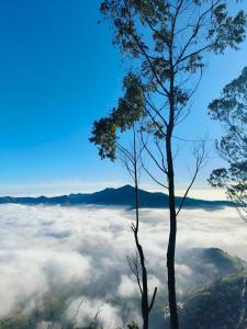 Adventure Hike Villa