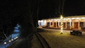 The forest trail by lake & woods