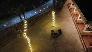 The forest trail by lake & woods