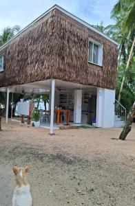 Remys Eco house