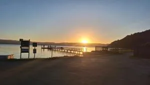 Dolphin - Lake Brenton