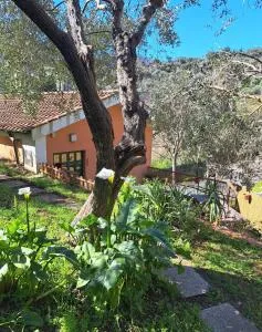 Casa Mar'Cellina - Tenuta Calano - فاراتسي